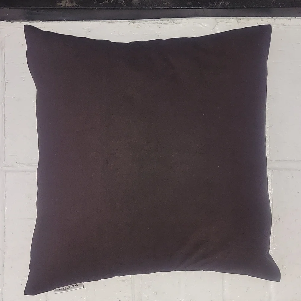 (3) EECCA Pillow Covers